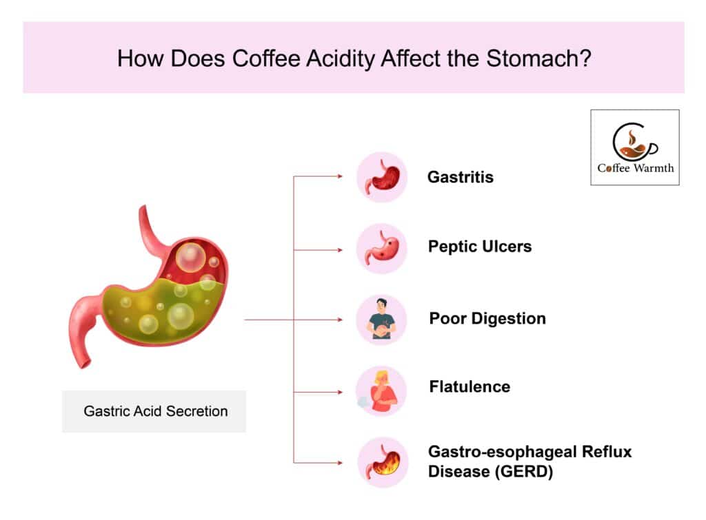 How coffee acidity affects stomach