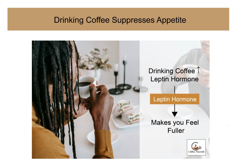 How coffee suppresses appetite