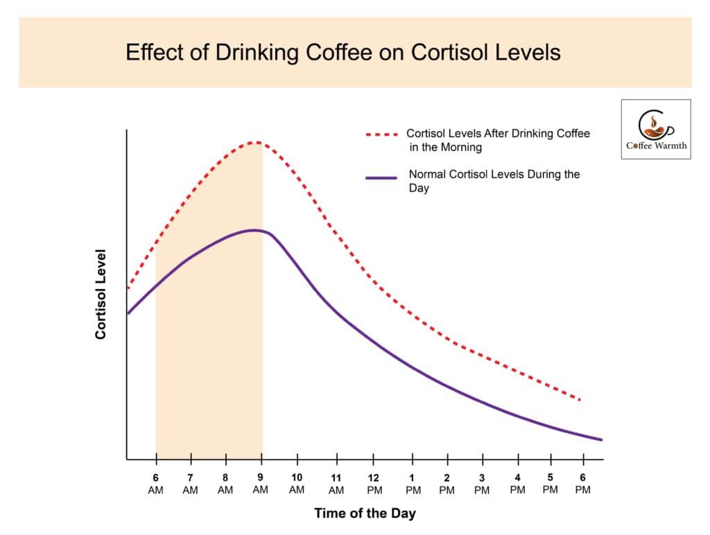 Coffee effect on cortisol levels in a day