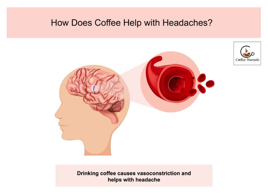 Coffee helps with headache