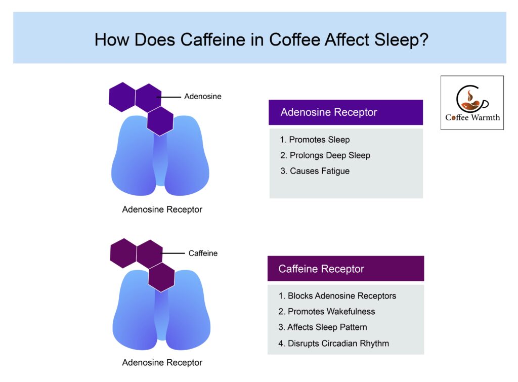 Effect of coffee on sleep