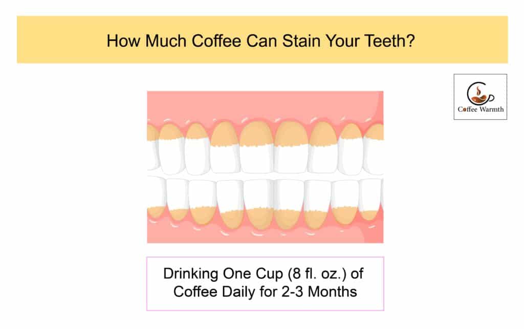 Amount of coffee than can stain your teeth