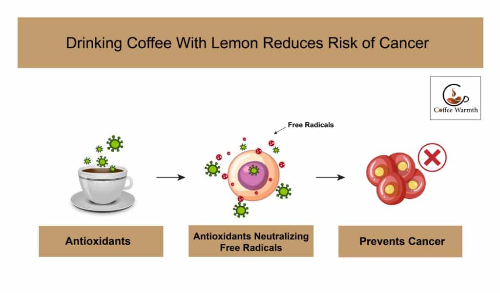 How coffee reduces risk of cancer