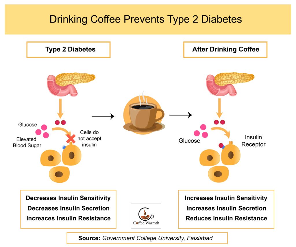 How drinking coffee prevents type 2 diabetes