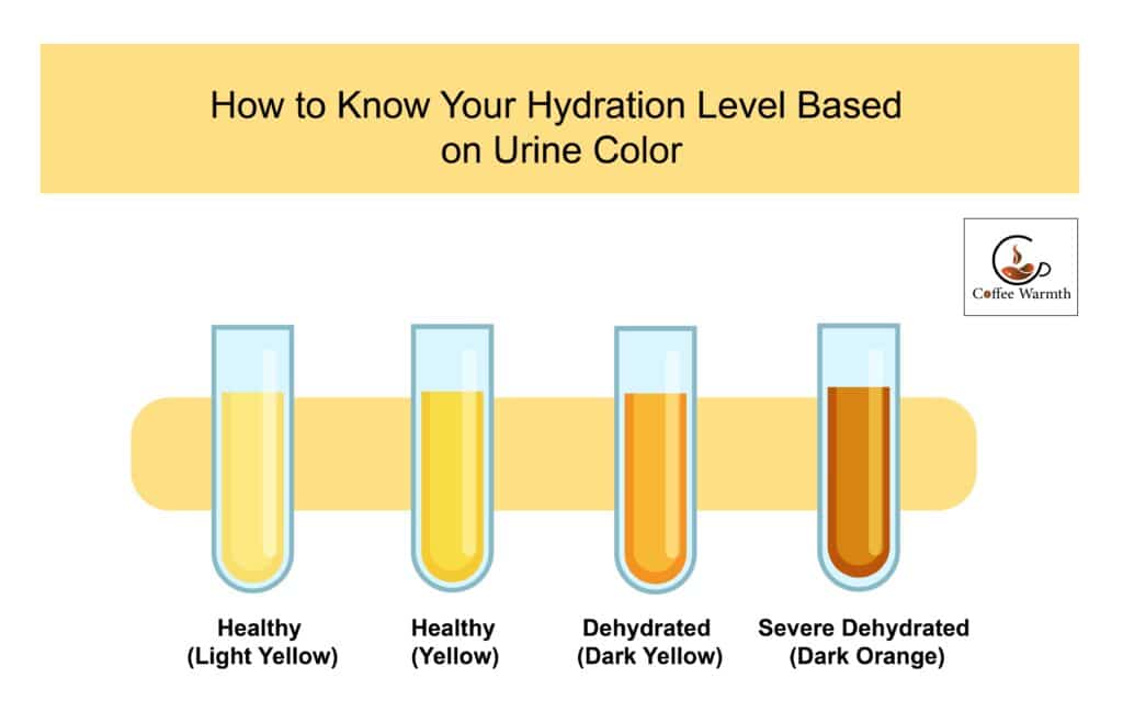 Recognize coffee dehydration through urine color